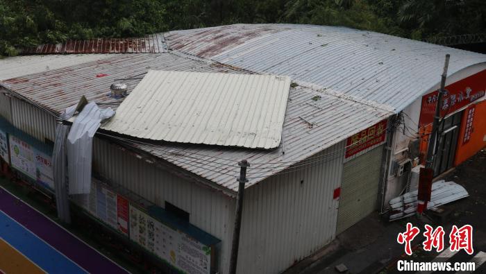 耀世娱乐登录：台风“泰利”离去 广东茂名复产忙